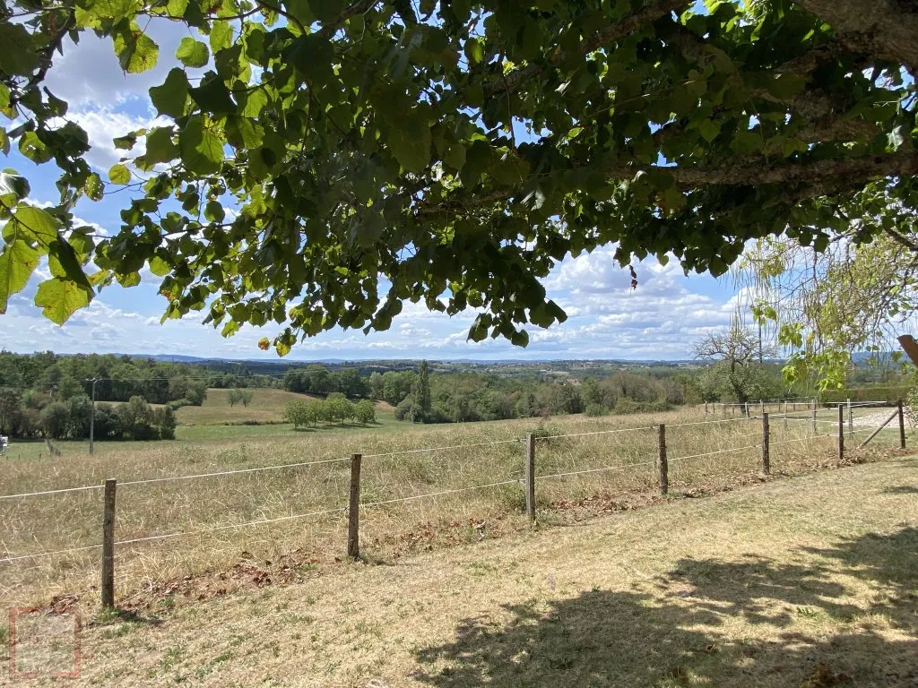 REAL ESTATE COMPLEX - Dupli