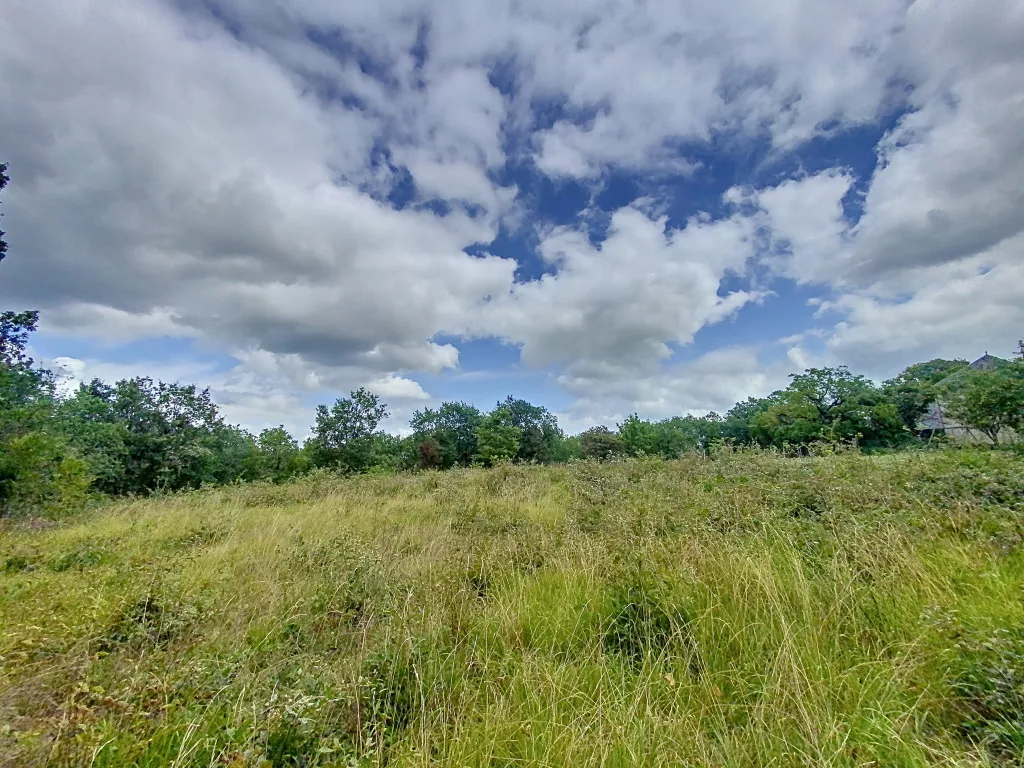 Terrain &agrave; b&acirc;tir bois&eacute;