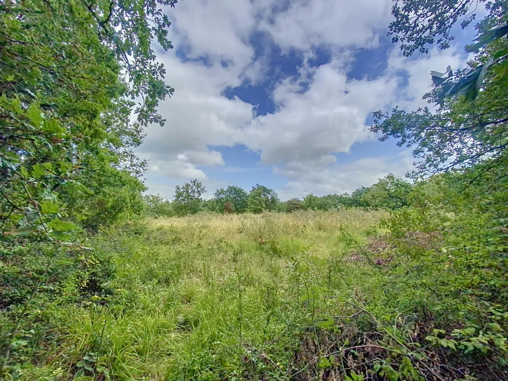Terrain &agrave; b&acirc;tir bois&eacute;