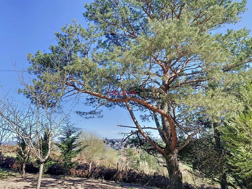 WOODEN HOUSE OF 2022 ON 5041 M&sup2; OF WOOD