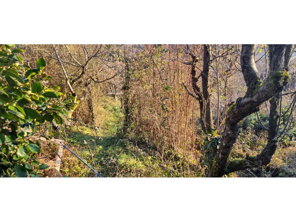 Terrain &agrave; b&acirc;tir sur des hauteurs