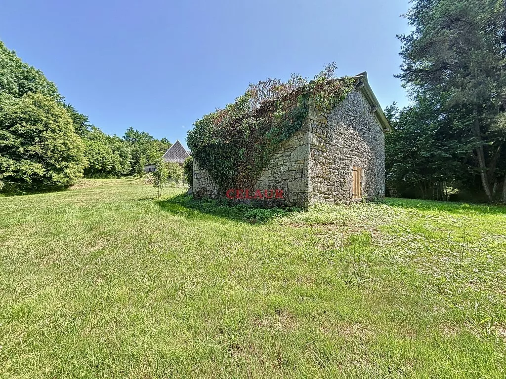 Maison pierre avec d&eacute;pendance et terrain