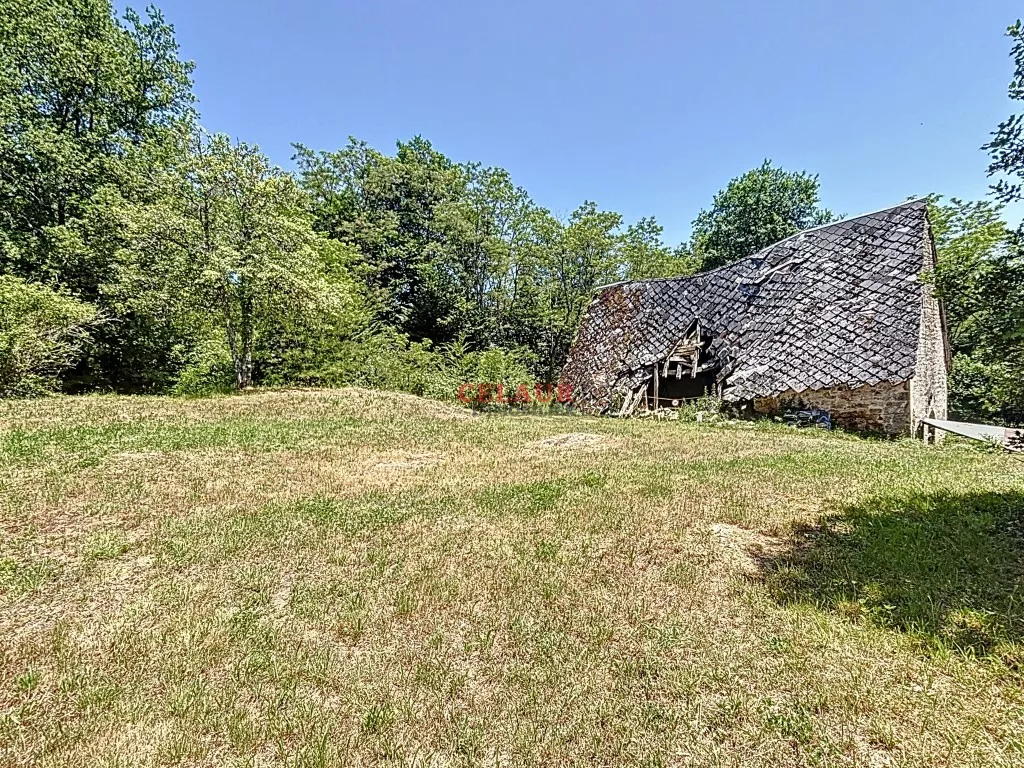 Maison pierre avec d&eacute;pendance et terrain