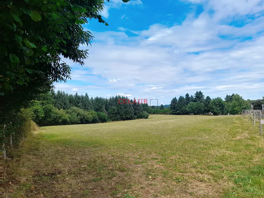 Terrain constructible