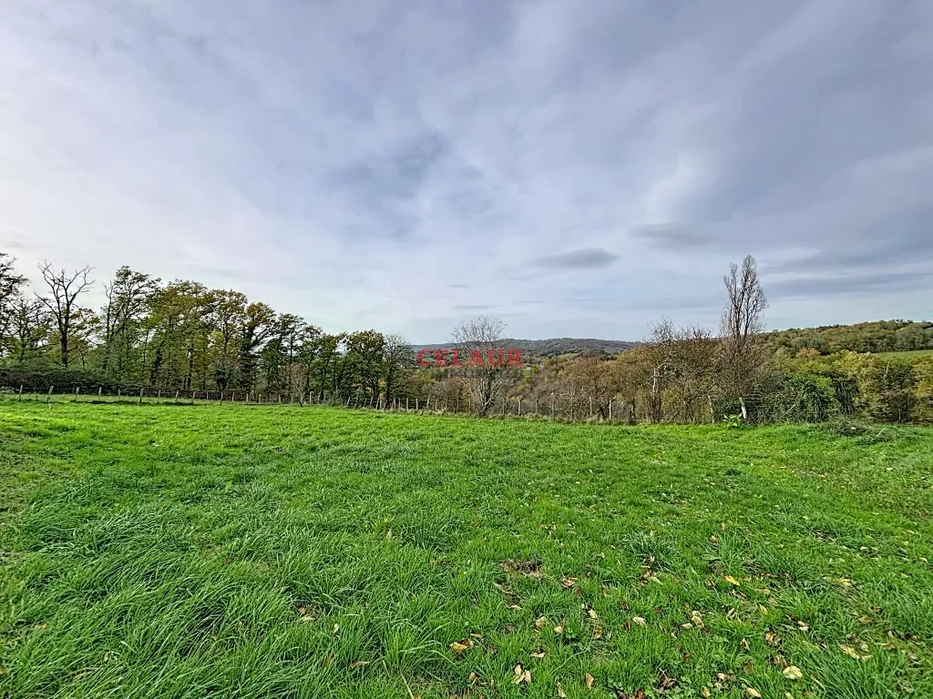 PLAIN PIED A OSSATURE BOIS SUR 1566 M&sup2; DE TERRAIN