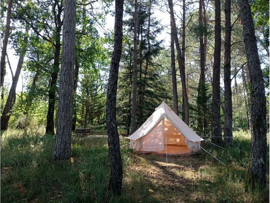 WOODEN HOUSE OF 2022 ON 5041 M&sup2; OF WOOD